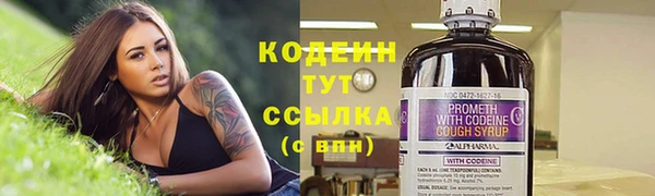гашик Лагань
