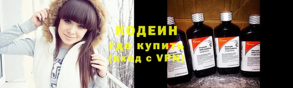 гашик Лагань