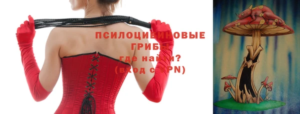 гашик Лагань