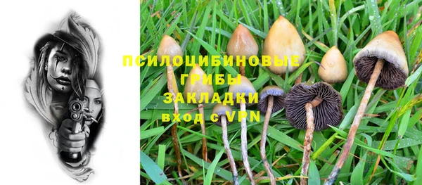а пвп мука Лабытнанги