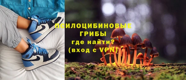 гашик Лагань