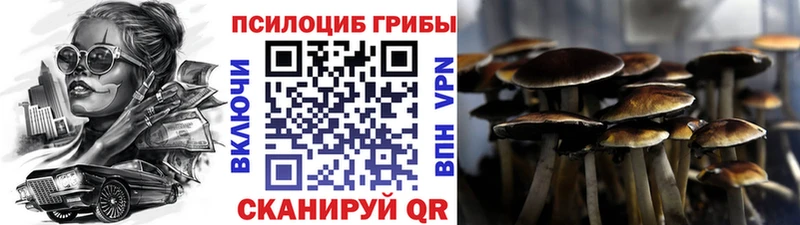 цены наркотик  Шатура  мориарти клад  Галлюциногенные грибы GOLDEN TEACHER 