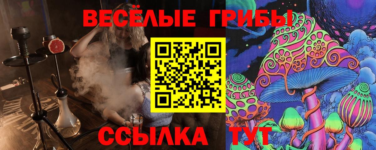 Псилоцибиновые грибы прущие грибы Шатура