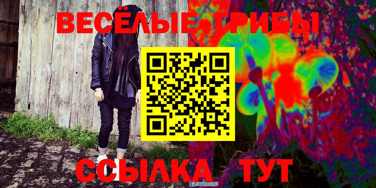 Псилоцибиновые грибы Cubensis  Шатура 